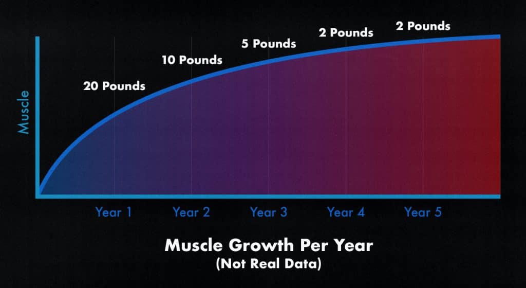 Diagram showing how much muscle you can expect to gain per year.