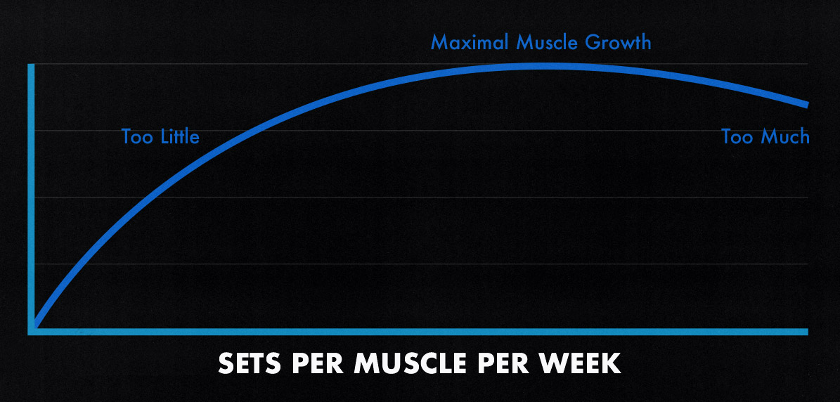 Study graph showing how many sets per muscle to do per week.