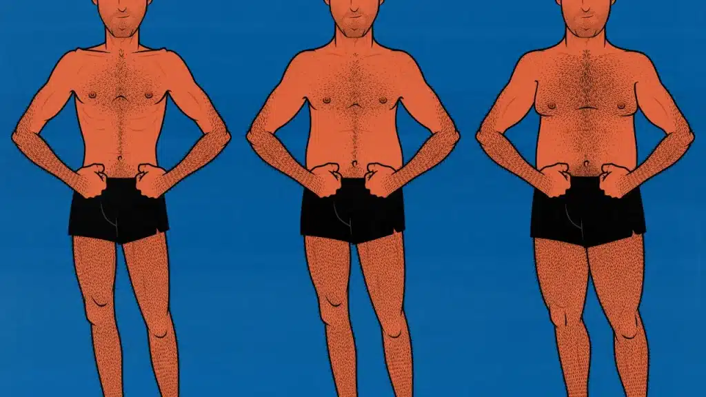 Illustration comparing a skinny, skinny fat, and overweight man.