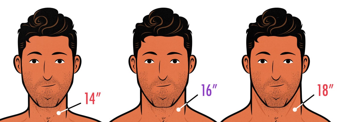 Illustration showing a skinny neck, the ideal neck size, and a neck that's too thick and muscular.