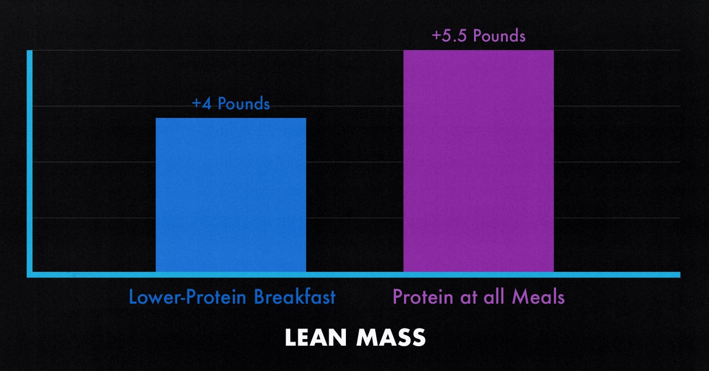 Diagram showing that consuming more protein at breakfast increases muscle growth, suggesting that intermittent fasting might not be ideal for bulking and building muscle.