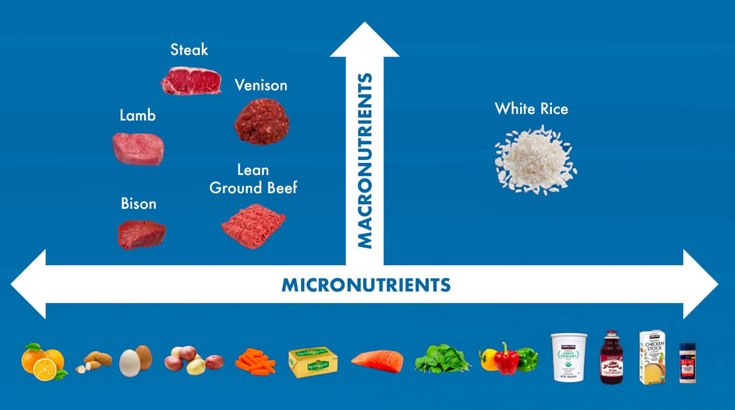 Diagram showing the foods recommended in the Vertical Diet.