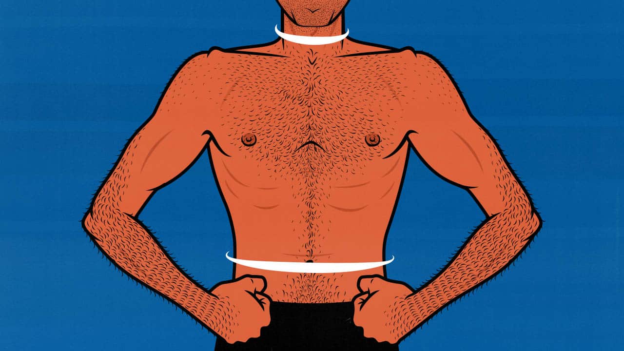 The Navy Body Fat Percentage Calculator