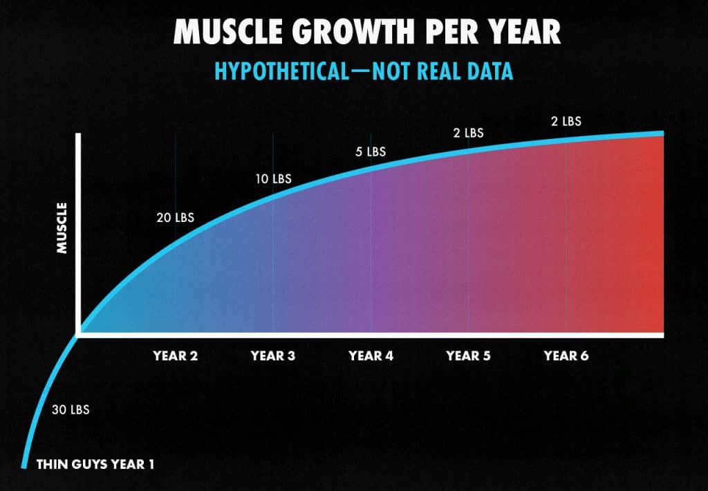 Graph showing how much muscle a skinny guy can expect to gain per year.