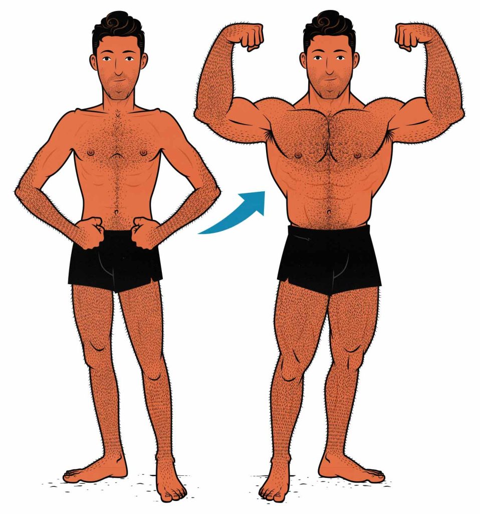 Before and after illustration of a skinny guy bulking up his jawline.
