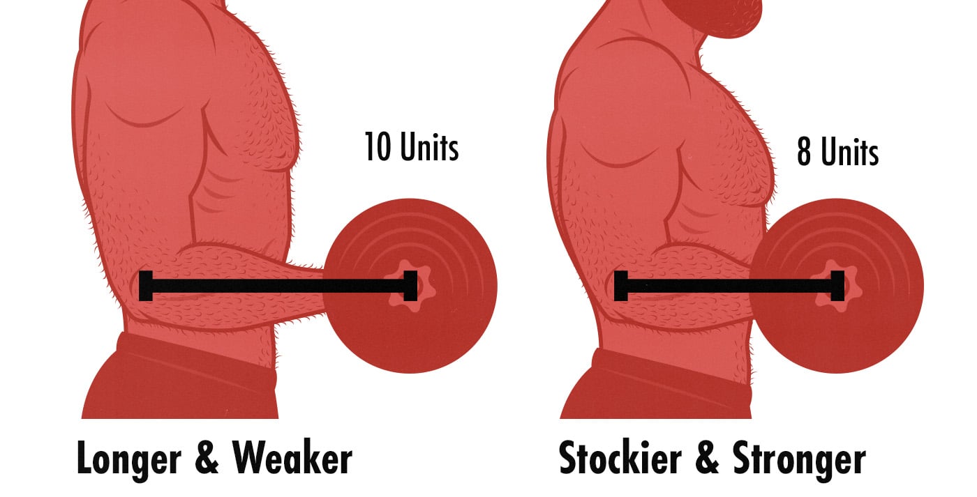 Diagram comparing a taller guy with worse strength genetics against a stockier guy who is stronger.