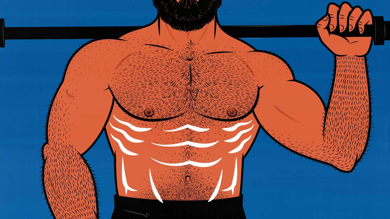 Illustration of a bodybuilder cutting after bulking.