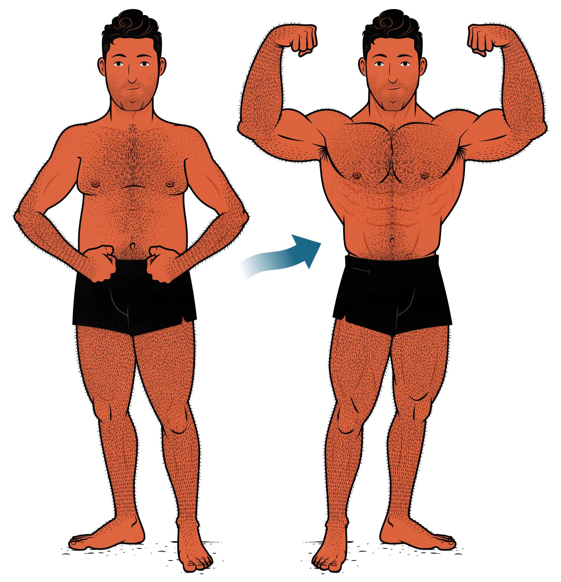 Illustration of a skinny fat man maingaining to build muscle while losing fat.