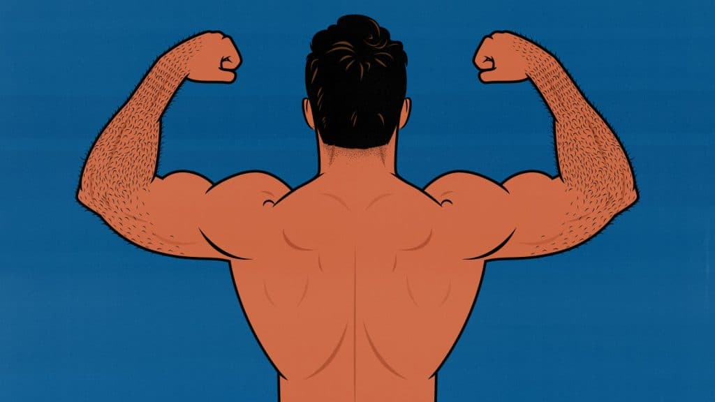 Illustration of a skinny guy building a bigger, wider back.