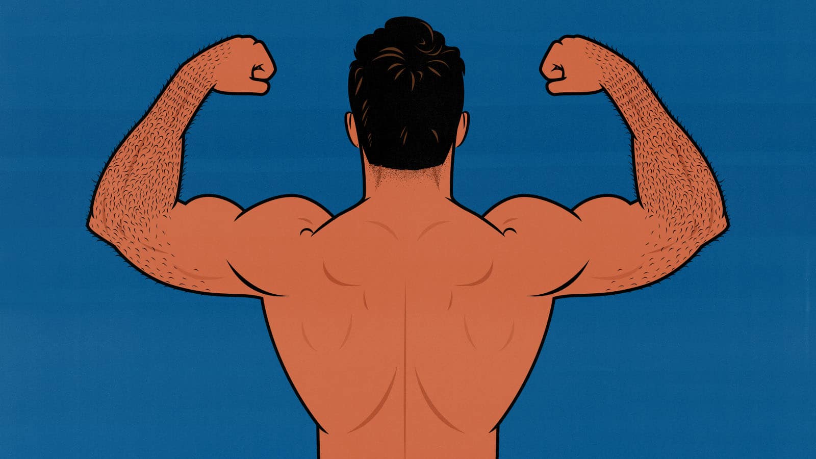 Illustration of a skinny guy building a bigger, wider back.