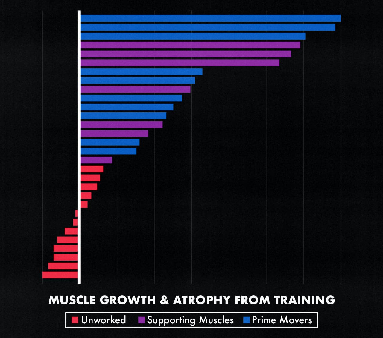 Diagram showing that some muscles can steal resources from other muscles.