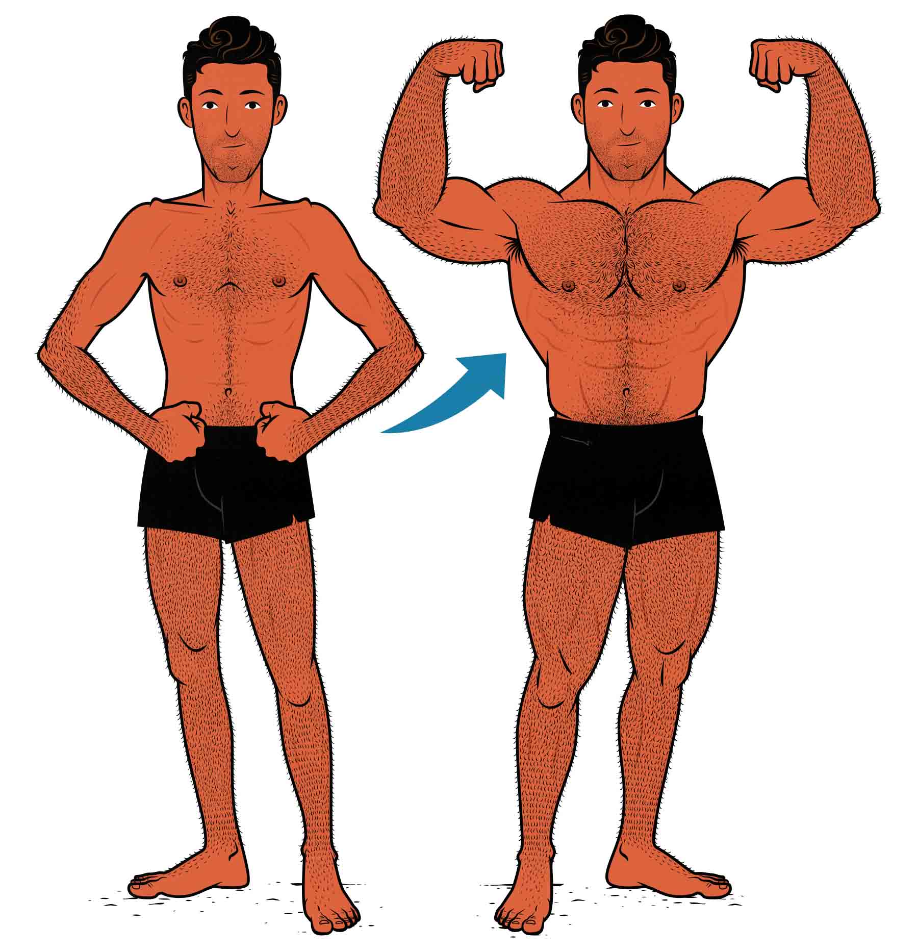 Illustration of a skinny guy building muscle.