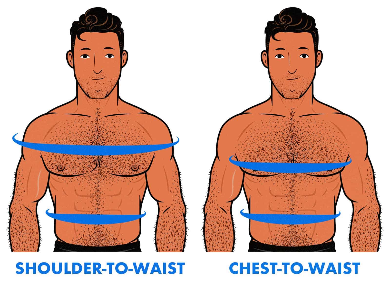 Illustrated diagram showing the difference between a man's shoulder-to-waist ratio and his chest-to-waist ratio.