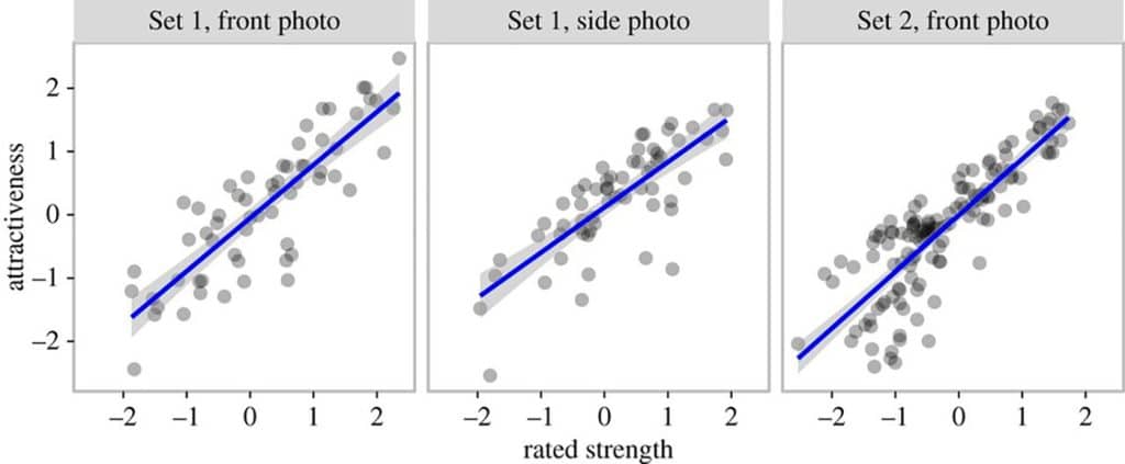 Study graphs showing that women find strong men more attractive than skinny men.