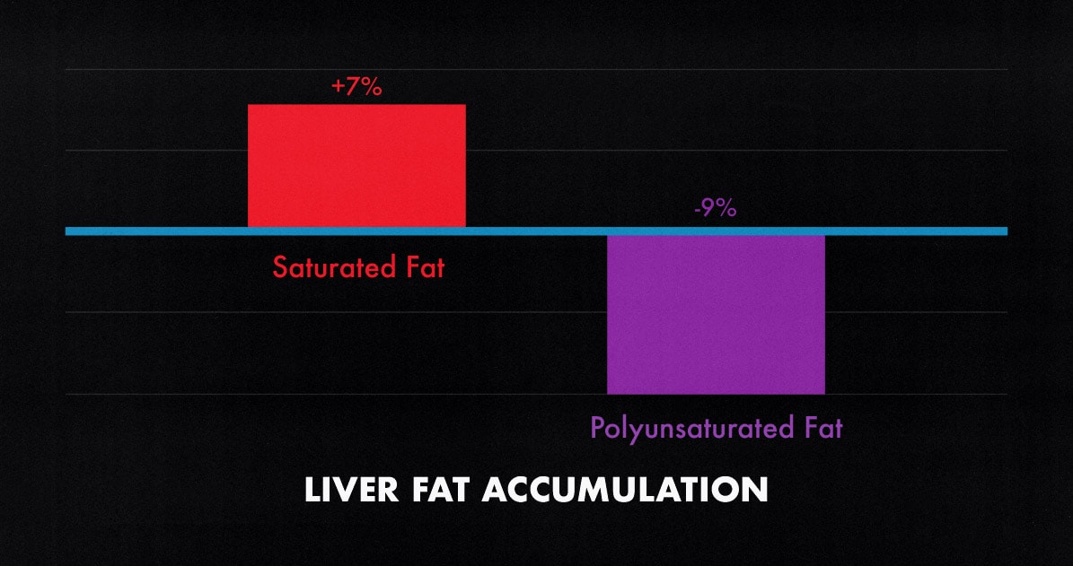 Graph showing that saturated fat can cause visceral fat storage, even in skinny people who aren't overweight.