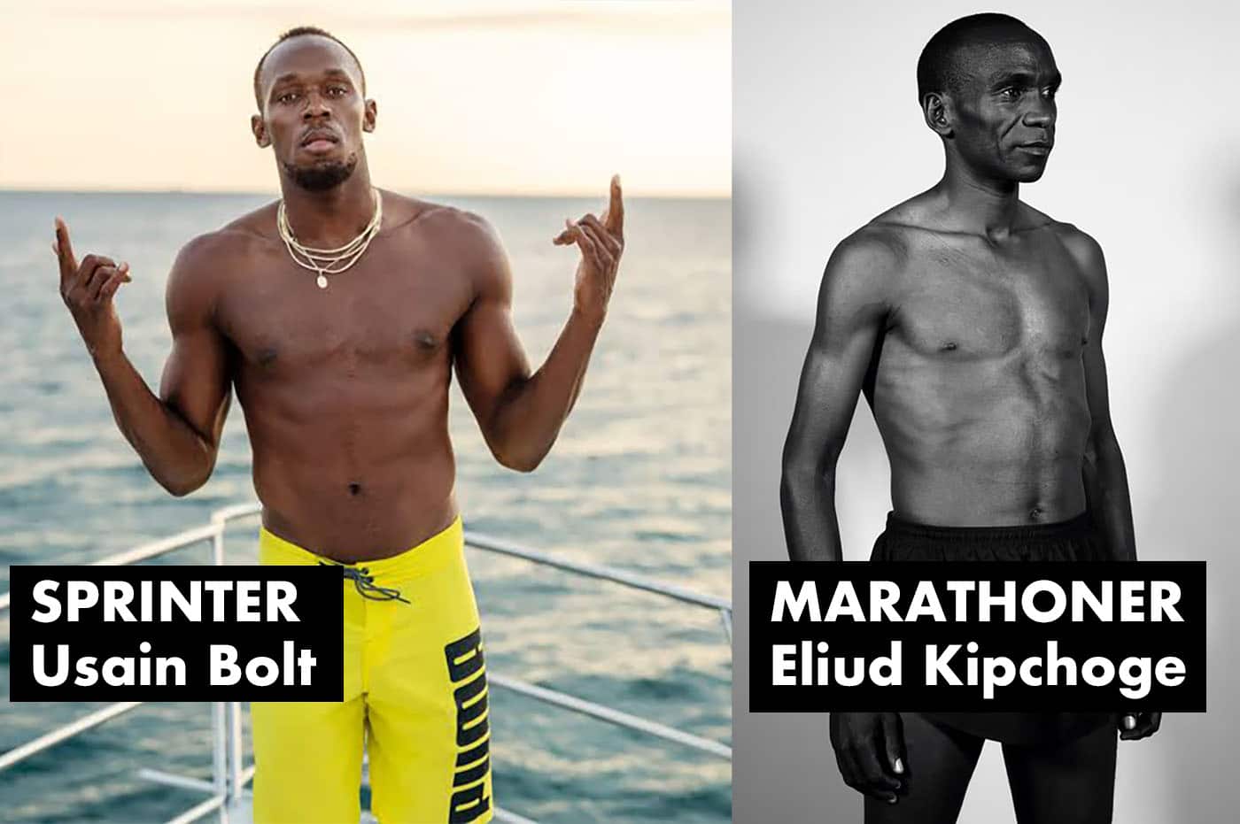 The physique of an elite sprinter compared against the physique of an elite marathon runner.