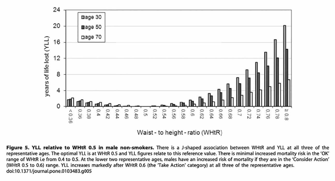 Study diagram showing how waist circumference affects health and longevity.