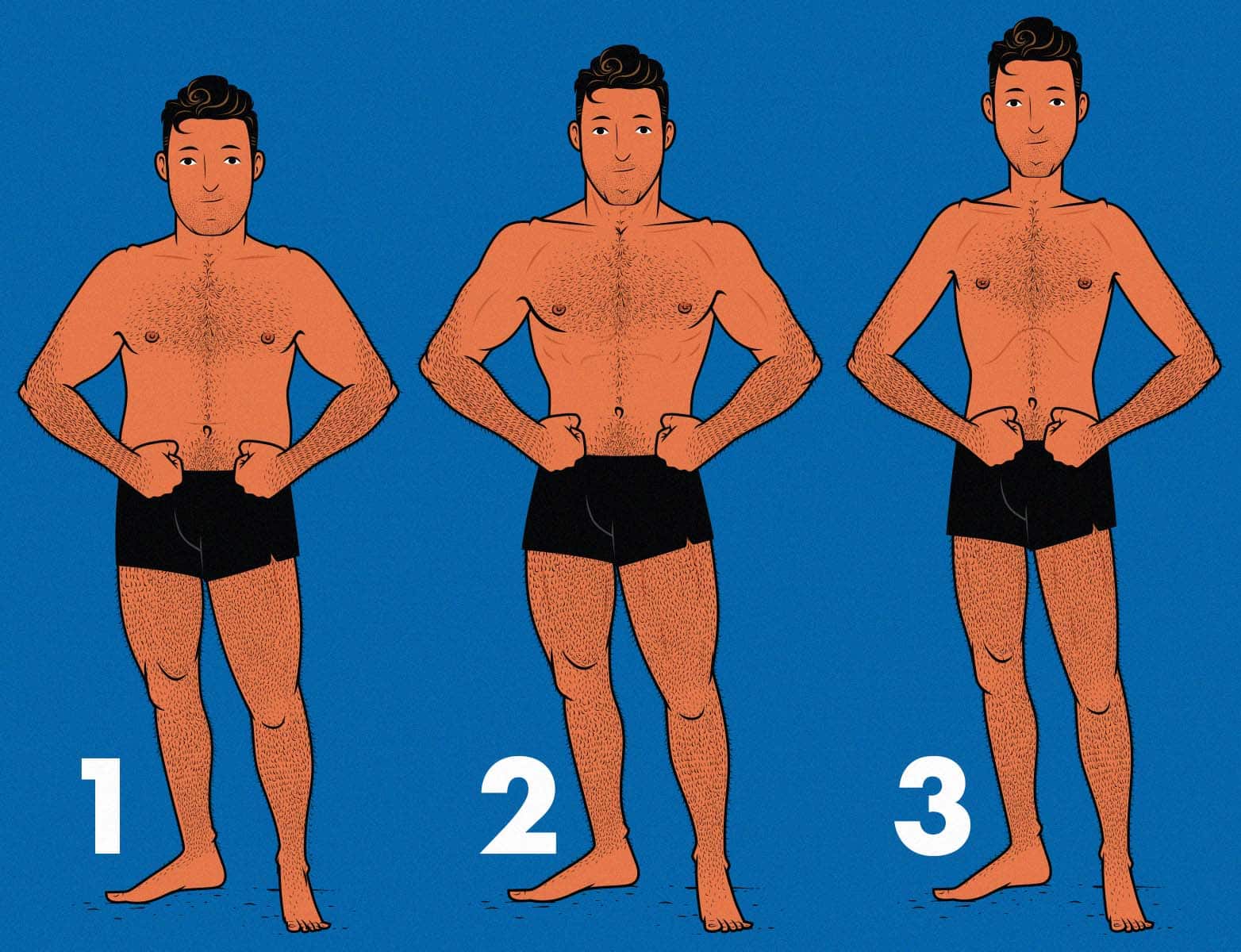 Survey illustration by Shane Duquette comparing a strong man against a tall man to see what women find more attractive.