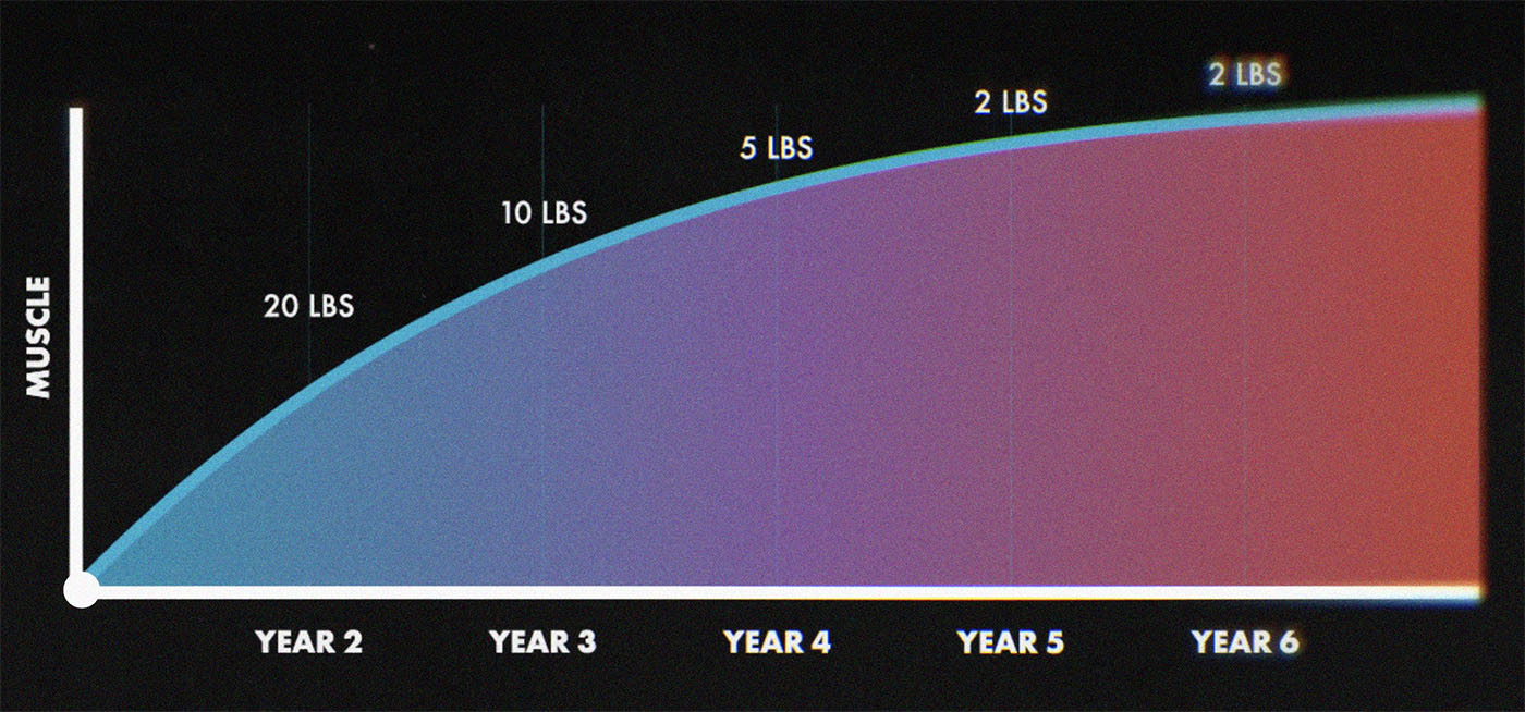 A graph showing that it takes about a year for the average person to gain 20 pounds of muscle. There are plenty of exceptions, though. It isn't a guarantee or a limit.