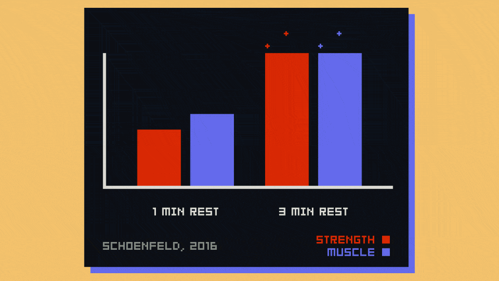 A graph from Brad Schoenfeld's 2016 study comparing the muscle growth from shorter versus longer rest times.
